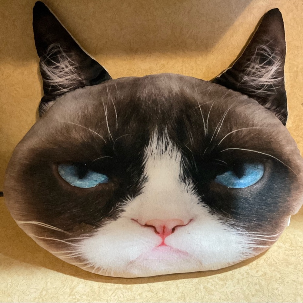Jakks: Grumpy Cat  about 18 “ inches wide  n 13 “ inches tall decorative pillow